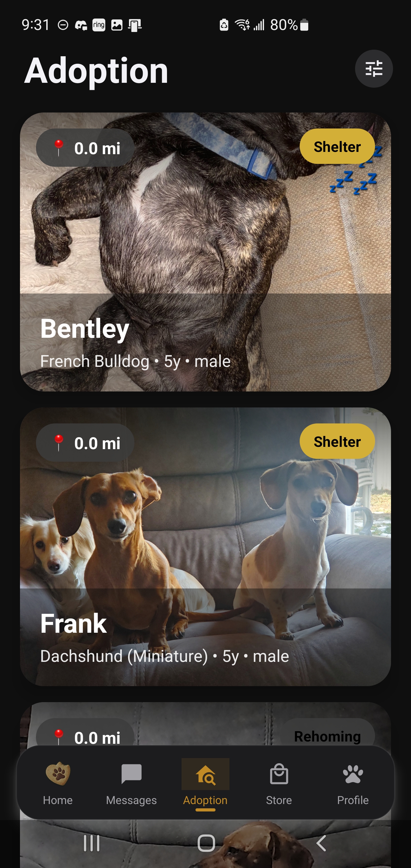 Browse adoptable pets